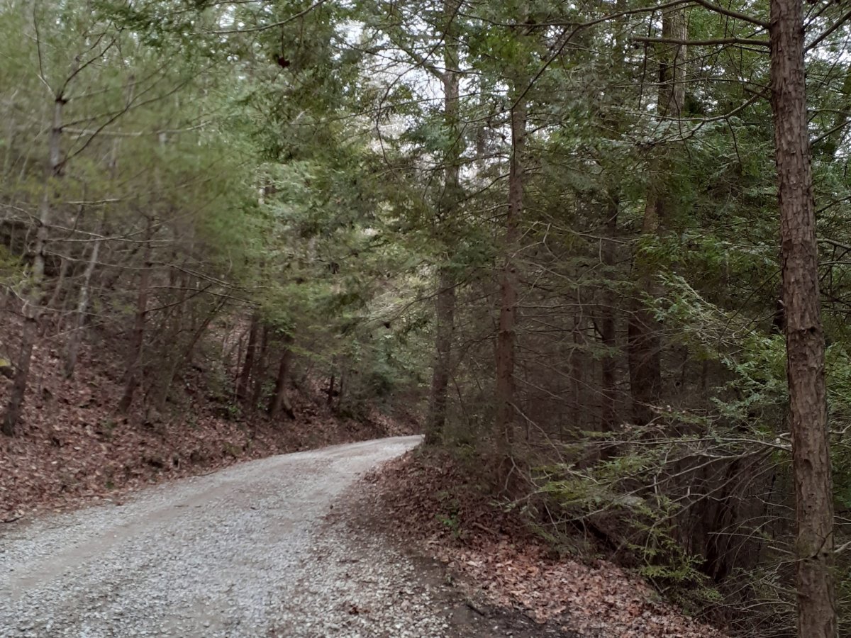 The Road Less Travelled