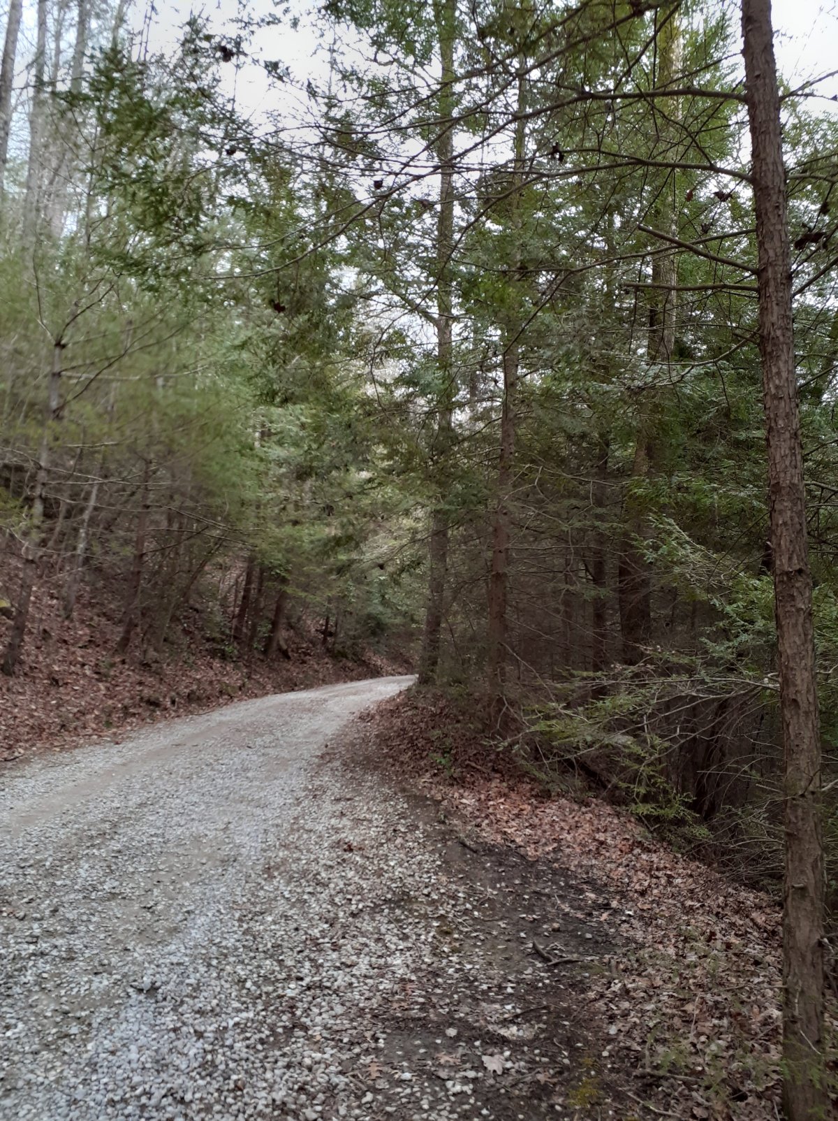 The Road Less Travelled